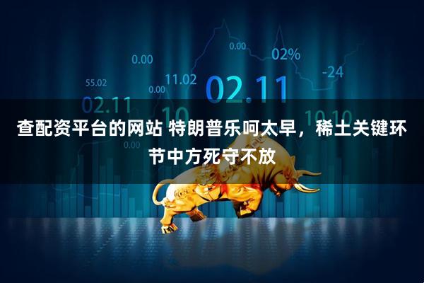 查配资平台的网站 特朗普乐呵太早，稀土关键环节中方死守不放