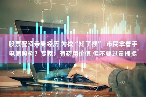 股票配资亲身经历 为找“知了猴”  市民拿着手电筒照树？专家：有药用价值 但不要过量捕捉