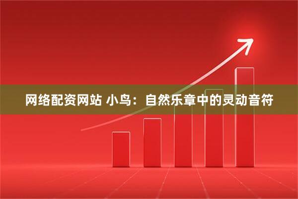 网络配资网站 小鸟：自然乐章中的灵动音符
